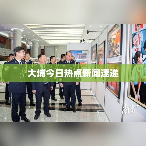 大埔今日热点新闻速递