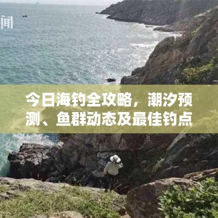 今日海钓全攻略,潮汐预测、鱼群动态及最佳钓点推荐消息大揭秘