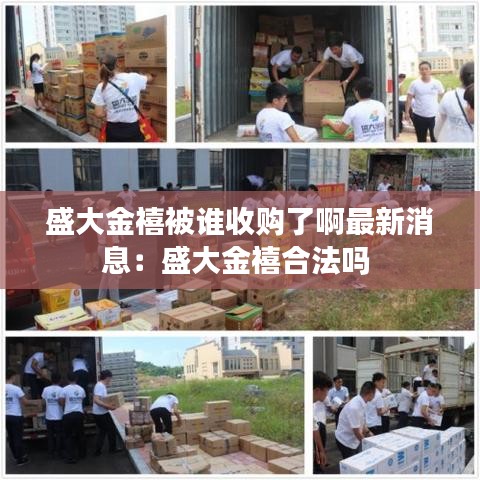 盛大金禧被谁收购了啊最新消息:盛大金禧合法吗