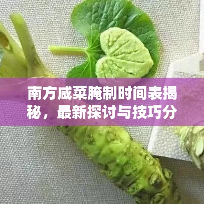 南方咸菜腌制时间表揭秘,最新探讨与技巧分享
