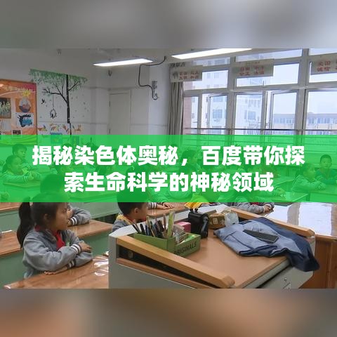 揭秘染色体奥秘,百度带你探索生命科学的神秘领域