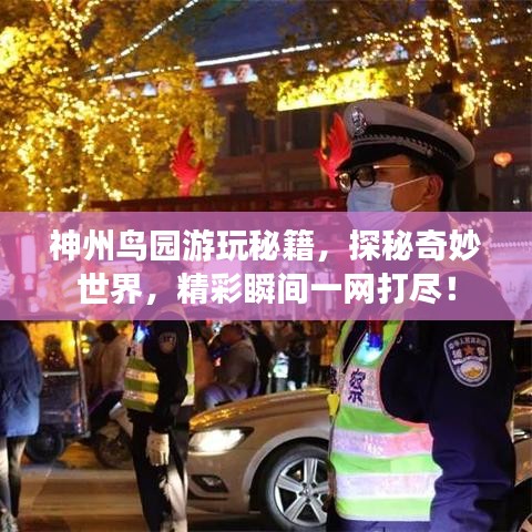 神州鸟园游玩秘籍,探秘奇妙世界,精彩瞬间一网打尽!