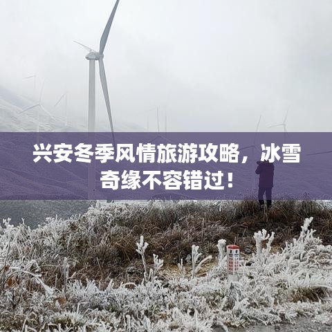 兴安冬季风情旅游攻略,冰雪奇缘不容错过!