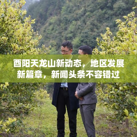 酉阳天龙山新动态,地区发展新篇章,新闻头条不容错过