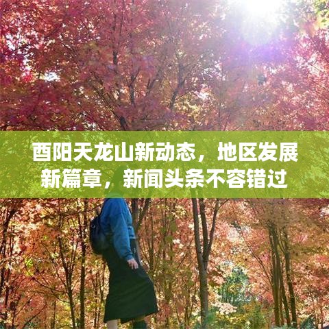 酉阳天龙山新动态,地区发展新篇章,新闻头条不容错过
