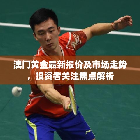 澳门黄金最新报价及市场走势,投资者关注焦点解析
