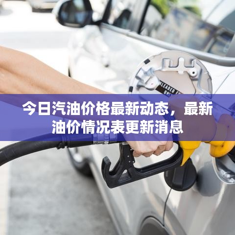 今日汽油价格最新动态,最新油价情况表更新消息