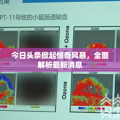 今日头条掀起惊奇风暴,全面解析最新消息
