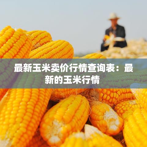 最新玉米卖价行情查询表:最新的玉米行情
