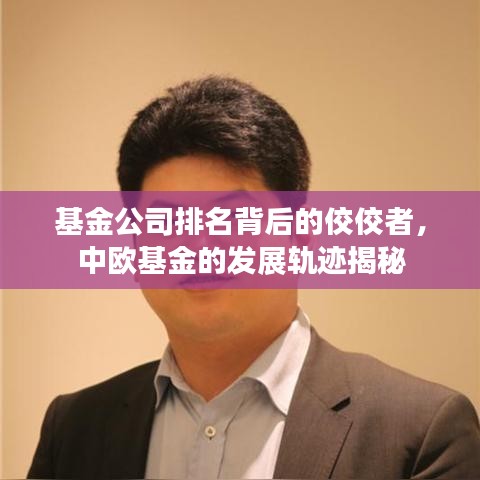 基金公司排名背后的佼佼者,中欧基金的发展轨迹揭秘