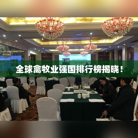 全球禽牧业强国排行榜揭晓！