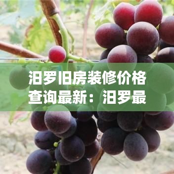 汨罗旧房装修价格查询最新:汨罗最新房屋出售信息