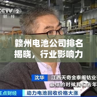 赣州电池公司排名揭晓,行业影响力不容小觑!