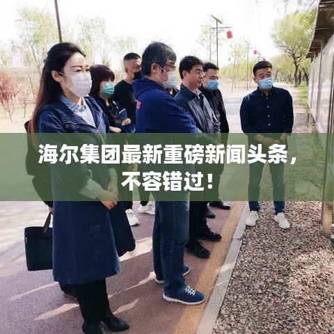 六鹢退飞 第4页