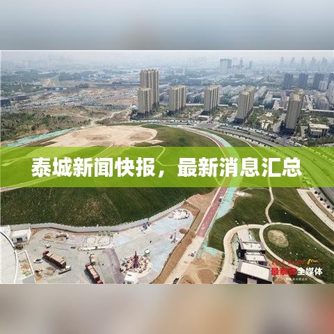 泰城新闻快报,最新消息汇总