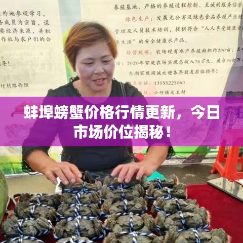 蚌埠螃蟹价格行情更新,今日市场价位揭秘!