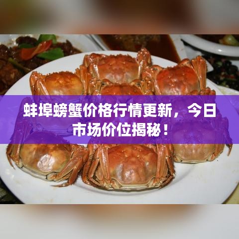 蚌埠螃蟹价格行情更新,今日市场价位揭秘!