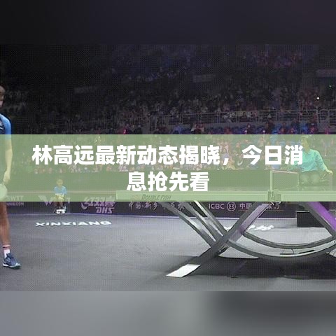 林高远最新动态揭晓,今日消息抢先看