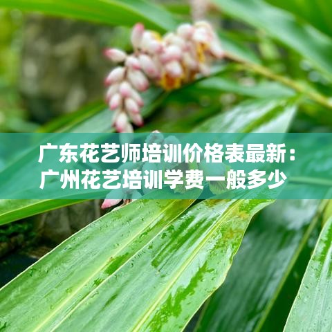 广东花艺师培训价格表最新:广州花艺培训学费一般多少