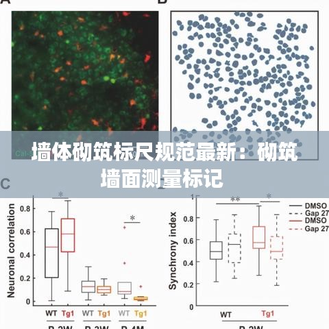 墙体砌筑标尺规范最新:砌筑墙面测量标记