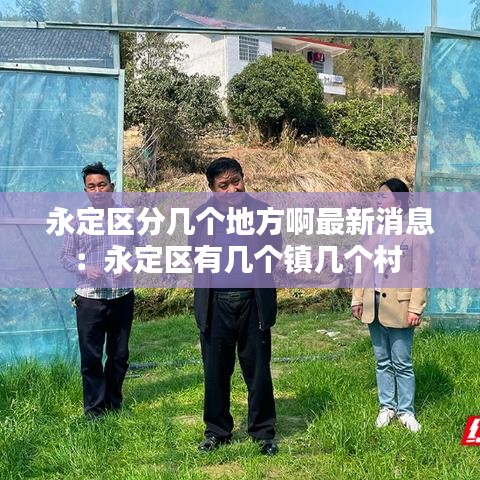 永定区分几个地方啊最新消息:永定区有几个镇几个村