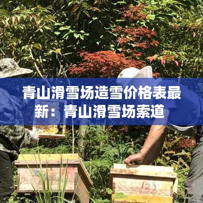 青山滑雪场造雪价格表最新:青山滑雪场索道