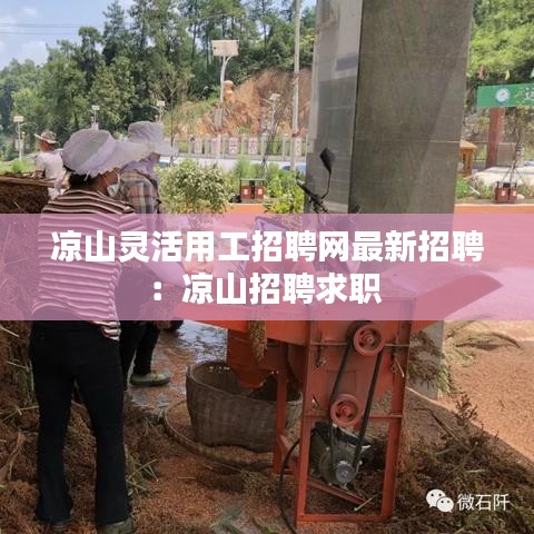 凉山灵活用工招聘网最新招聘:凉山招聘求职