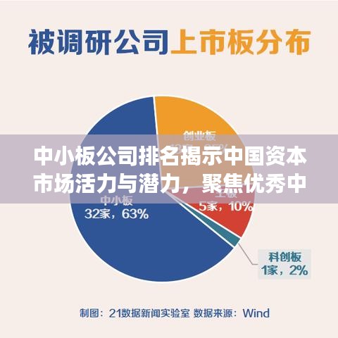 中小板公司排名揭示中国资本市场活力与潜力,聚焦优秀中小板企业全景观察