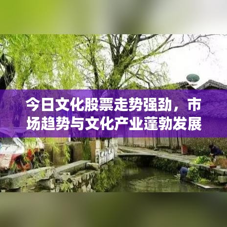 今日文化股票走势强劲,市场趋势与文化产业蓬勃发展同步前行