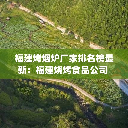福建烤烟炉厂家排名榜最新:福建烧烤食品公司