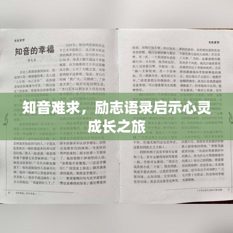知音难求,励志语录启示心灵成长之旅