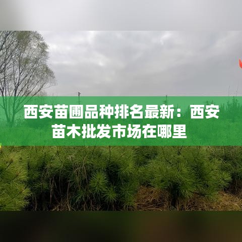 西安苗圃品种排名最新:西安苗木批发市场在哪里
