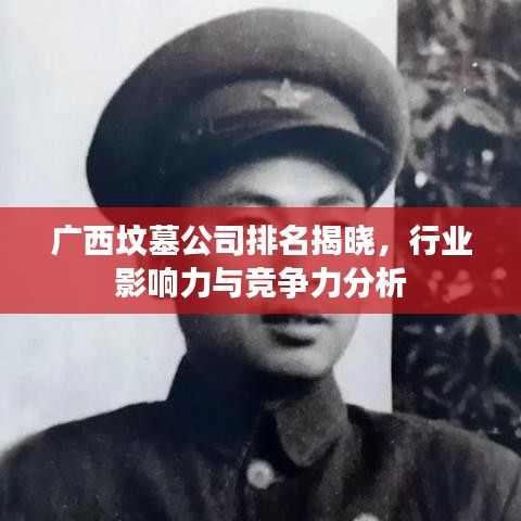 广西坟墓公司排名揭晓,行业影响力与竞争力分析