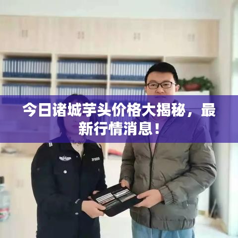 今日诸城芋头价格大揭秘,最新行情消息!