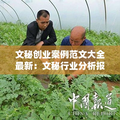 文秘创业案例范文大全最新:文秘行业分析报告