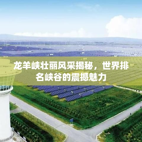 久别重逢 第5页