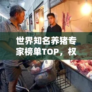 世界知名养猪专家榜单TOP,权威排名揭秘!