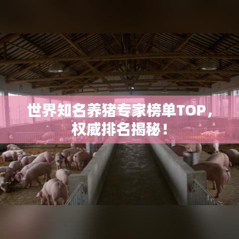 世界知名养猪专家榜单TOP,权威排名揭秘!