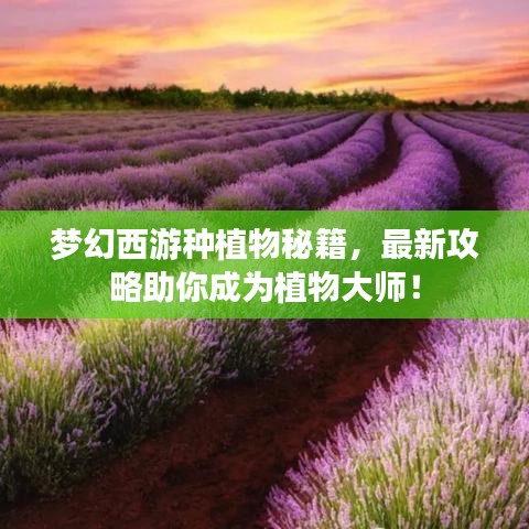 梦幻西游种植物秘籍,最新攻略助你成为植物大师!