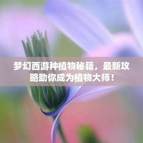 梦幻西游种植物秘籍,最新攻略助你成为植物大师!