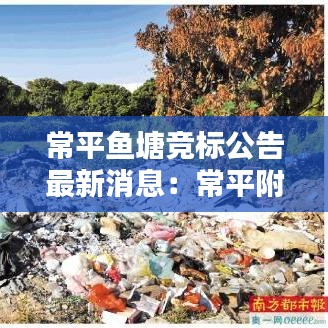 常平鱼塘竞标公告最新消息:常平附近的便宜的水库钓鱼