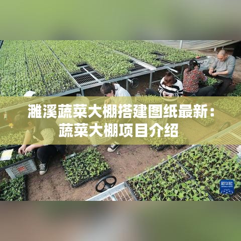 濉溪蔬菜大棚搭建图纸最新:蔬菜大棚项目介绍