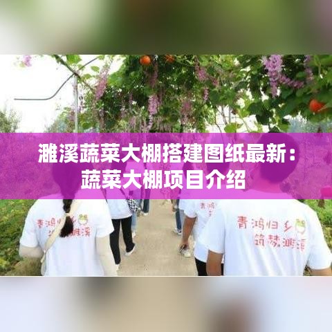 濉溪蔬菜大棚搭建图纸最新:蔬菜大棚项目介绍