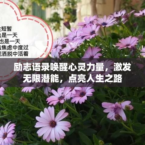 励志语录唤醒心灵力量,激发无限潜能,点亮人生之路