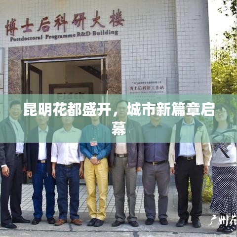 昆明花都盛开,城市新篇章启幕