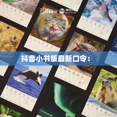 抖音小书版最新口令: