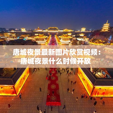 唐城夜景最新图片欣赏视频:唐城夜景什么时候开放