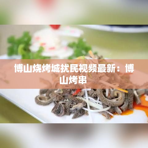 博山烧烤城扰民视频最新:博山烤串
