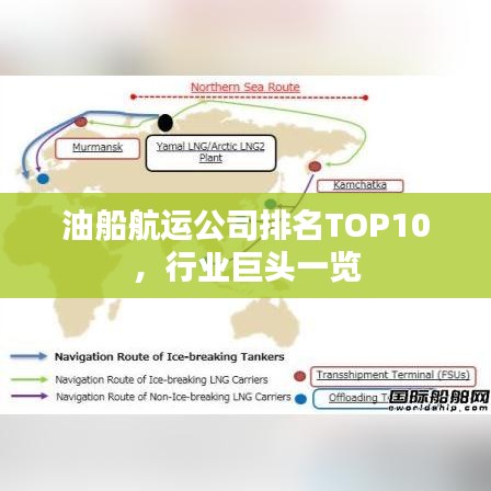 油船航运公司排名TOP10,行业巨头一览