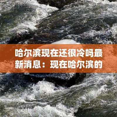 哈尔滨现在还很冷吗最新消息:现在哈尔滨的气温是多少度